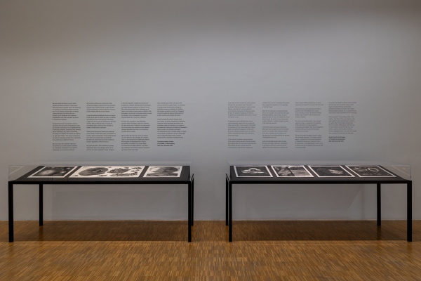 Interspecifics, Volcanic Studies, 2023 photo by Vinciane Lebrun